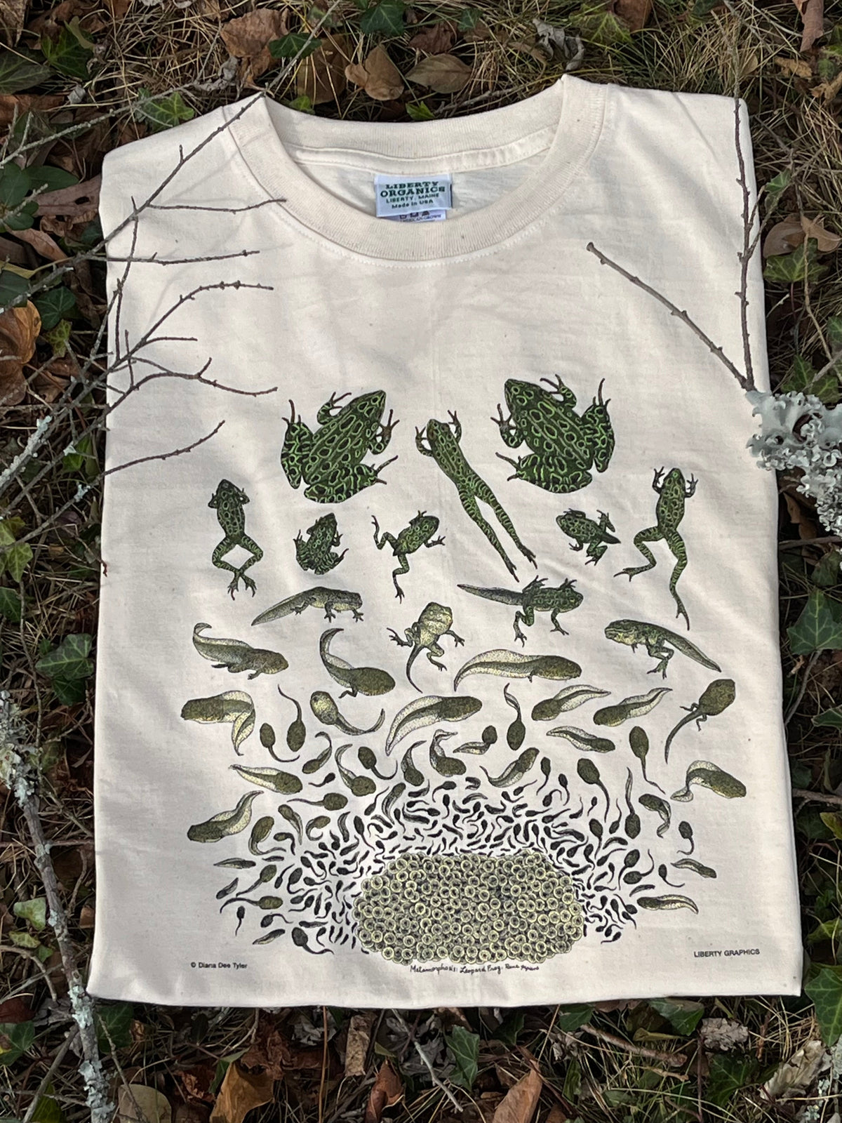 Frog Metamorphosis Print Shirt