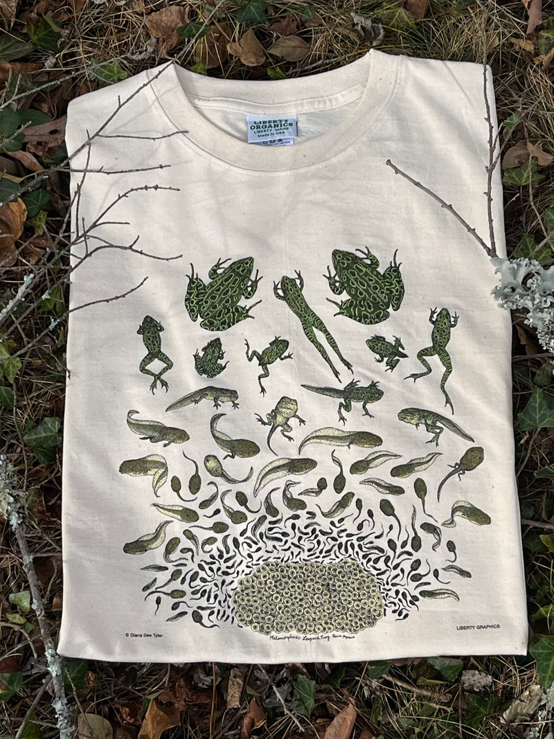 Frog Metamorphosis Print Shirt
